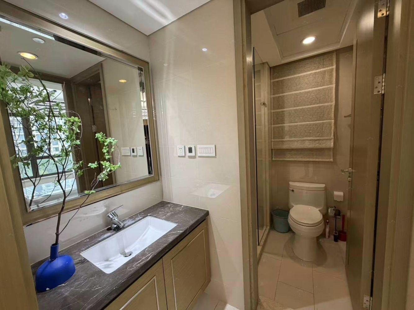 上海仁恒森兰雅苑MINI公馆二手房房源图片