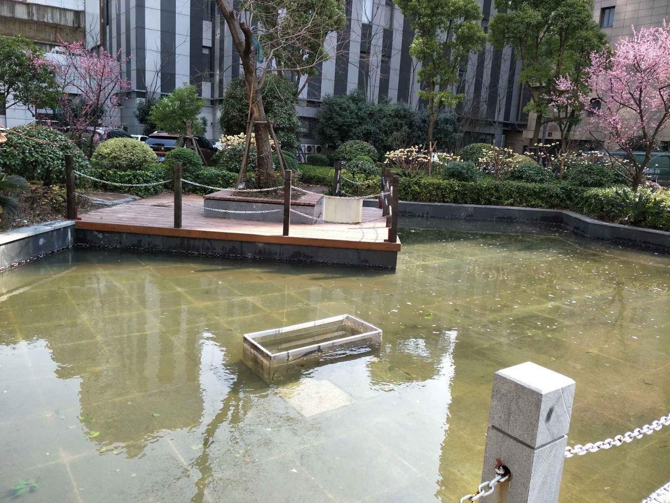 上海中信泰富又一城锦苑二手房房源图片