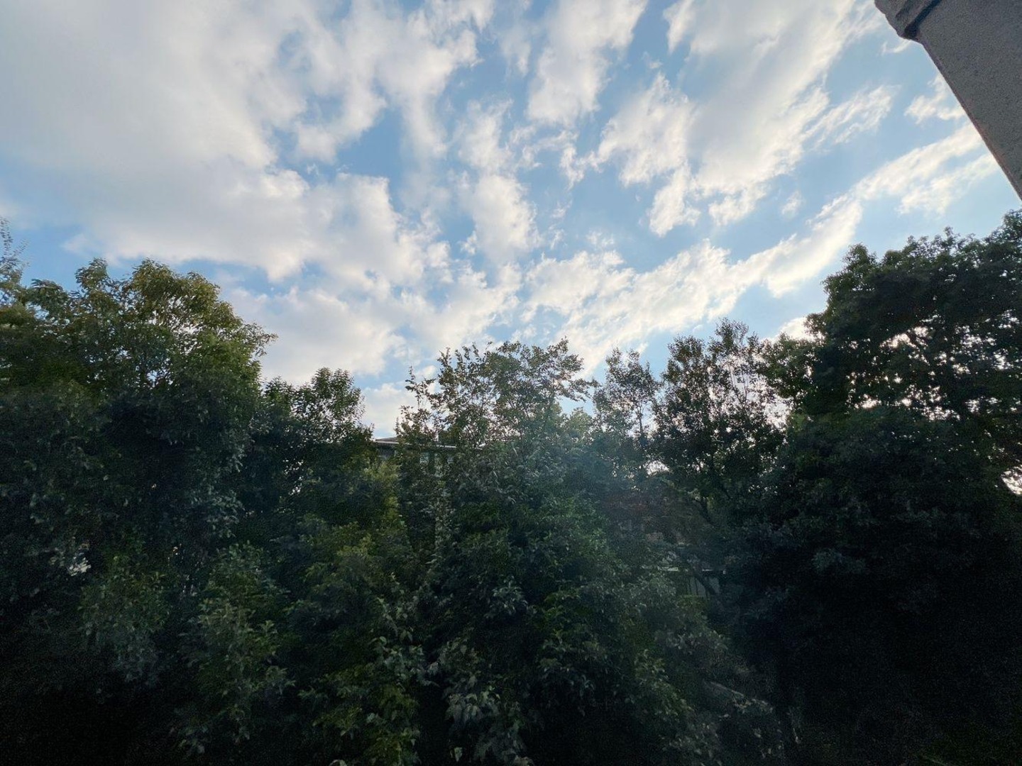 上海誉品原墅二手房房源图片