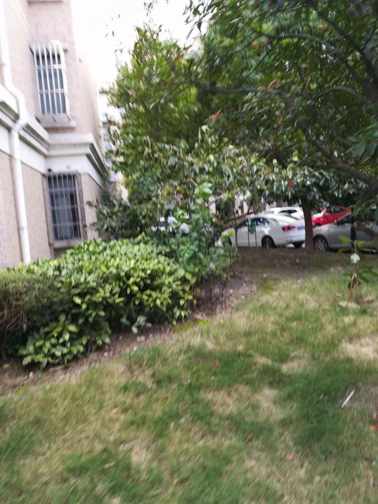 上海高行馨苑二手房房源图片