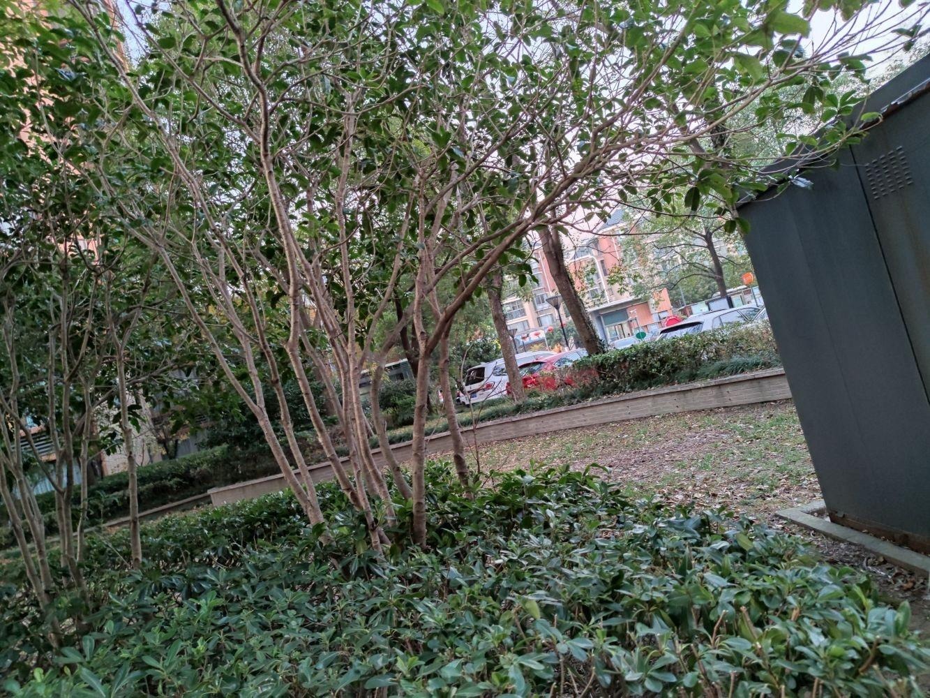 上海高行街西弄二手房房源图片