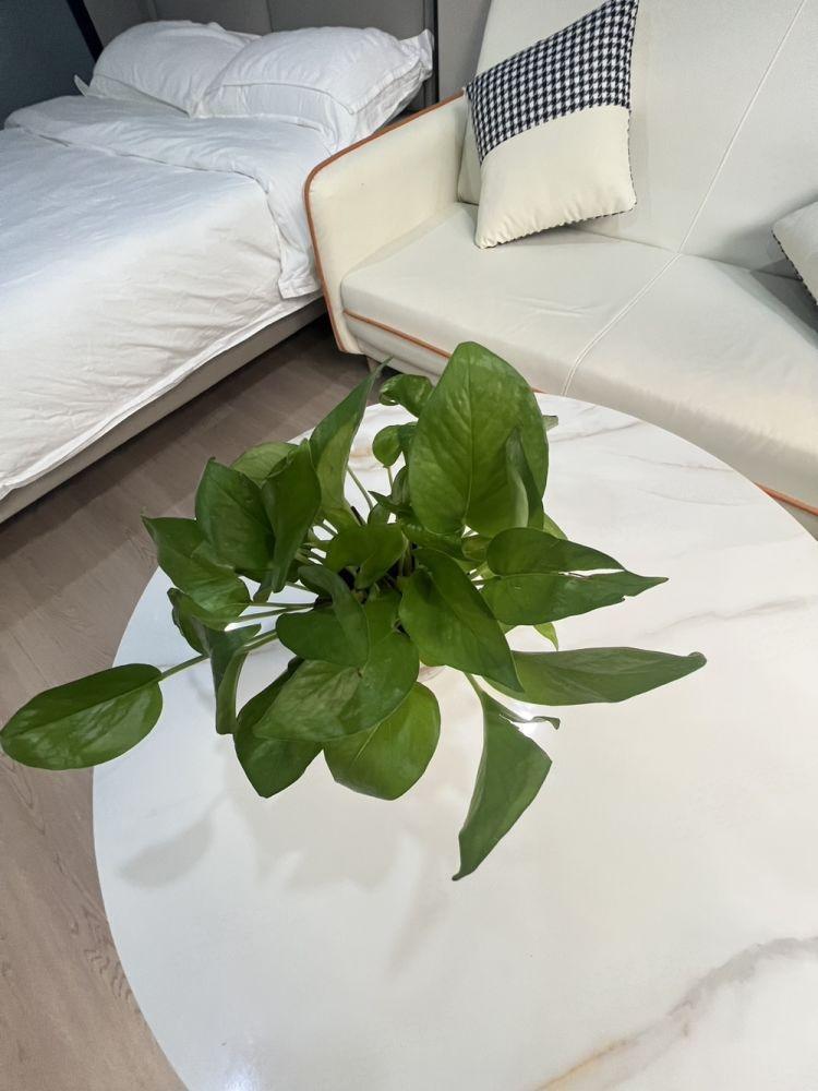 上海兴联中心村二手房房源图片