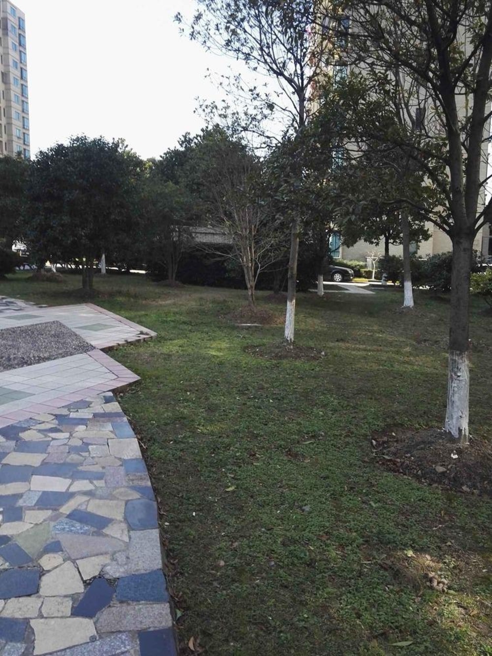 上海望族新苑二手房房源图片