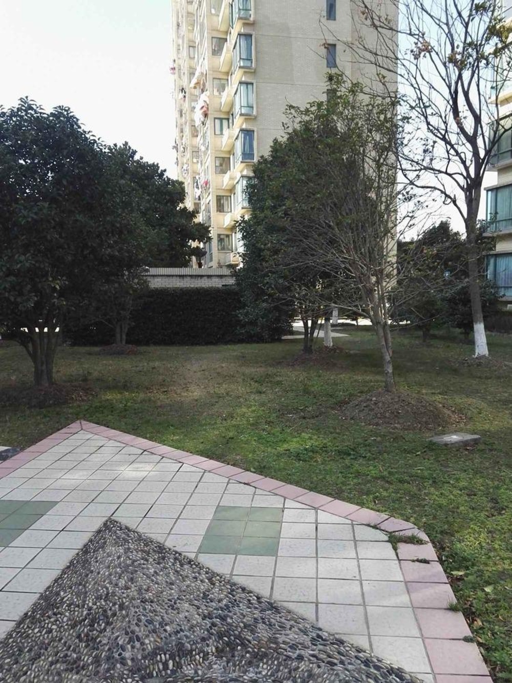 上海望族新苑二手房房源图片