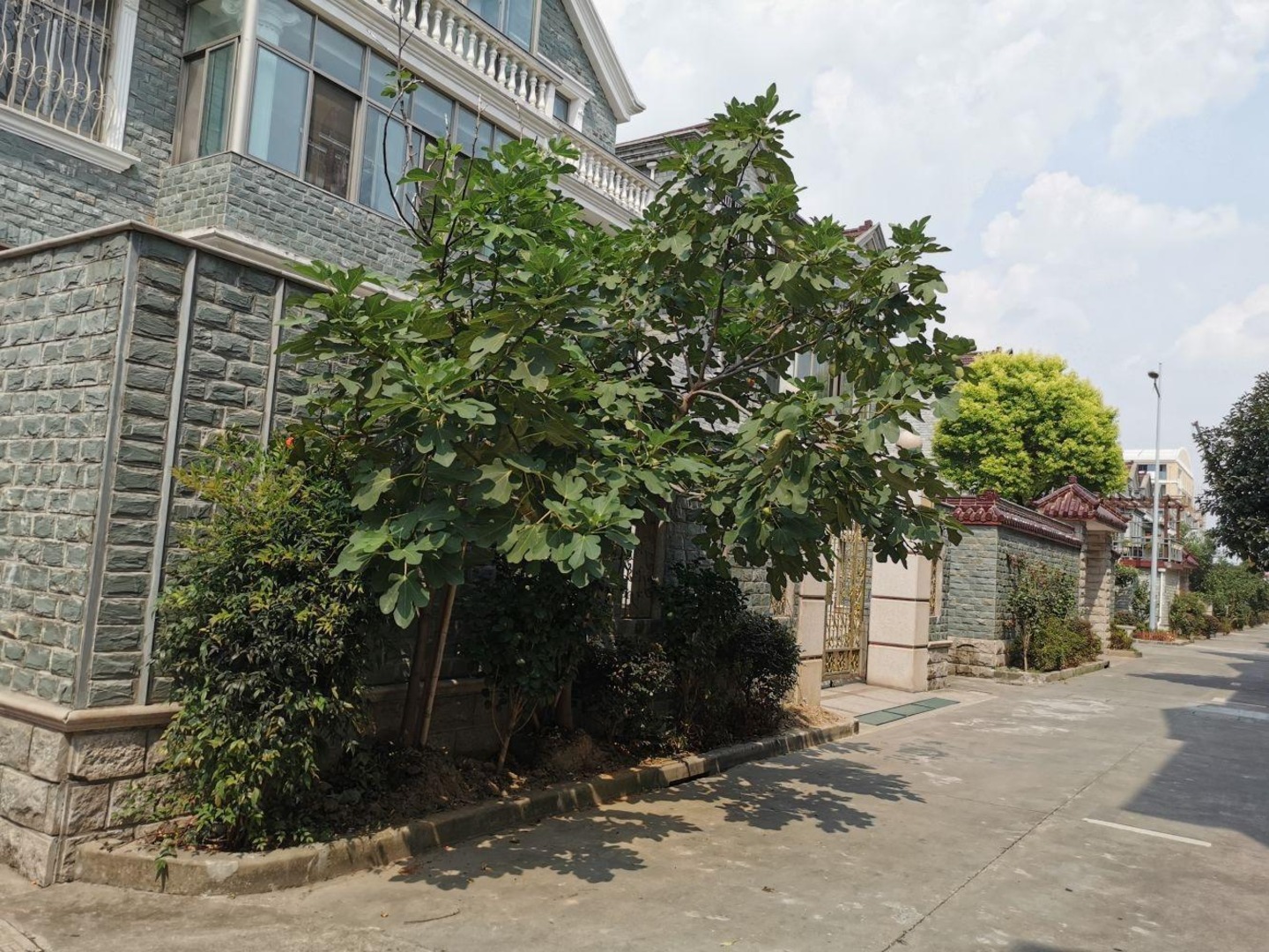 上海鹫山小区二手房房源图片