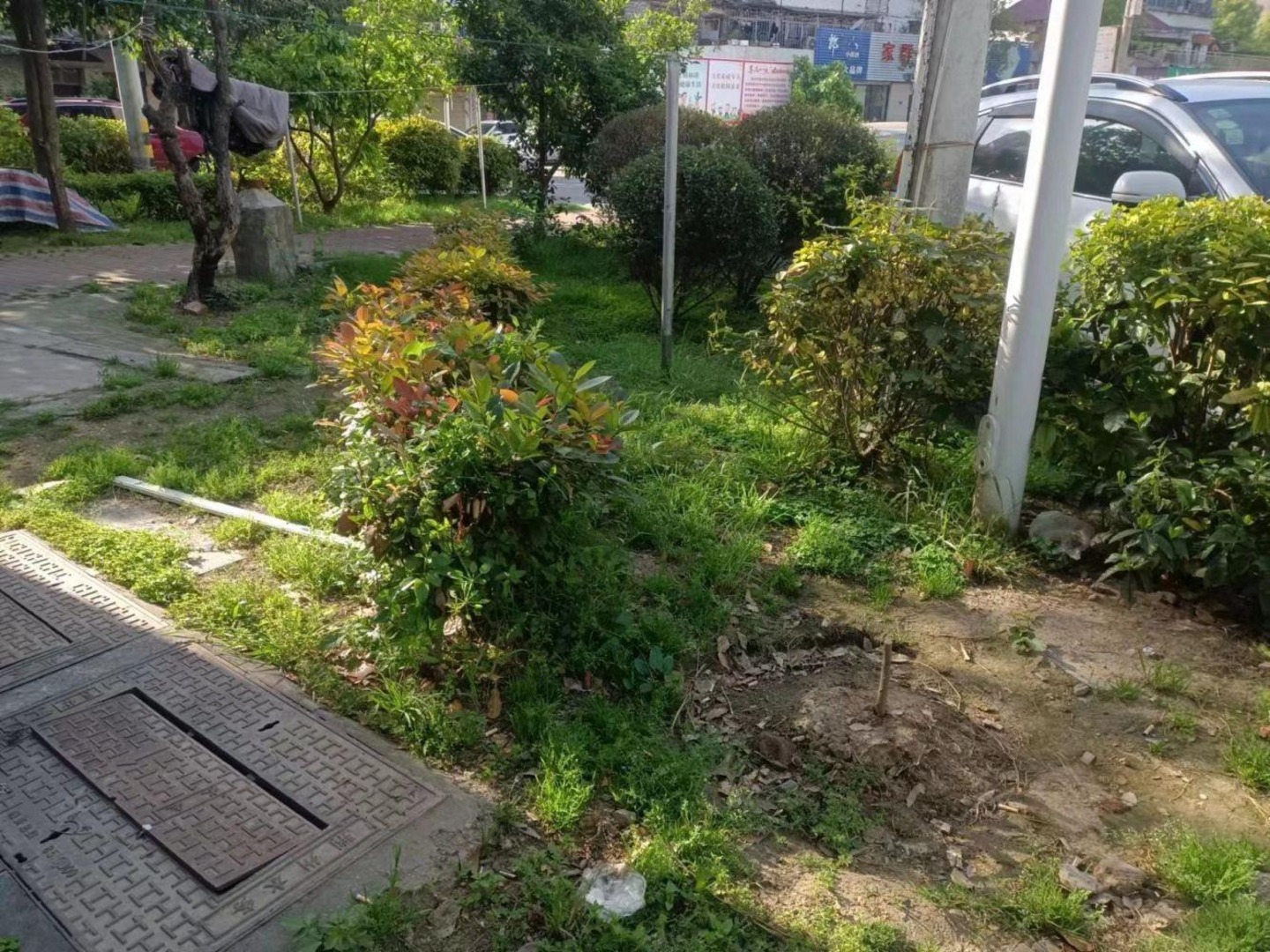 上海佩玛山丘二手房房源图片