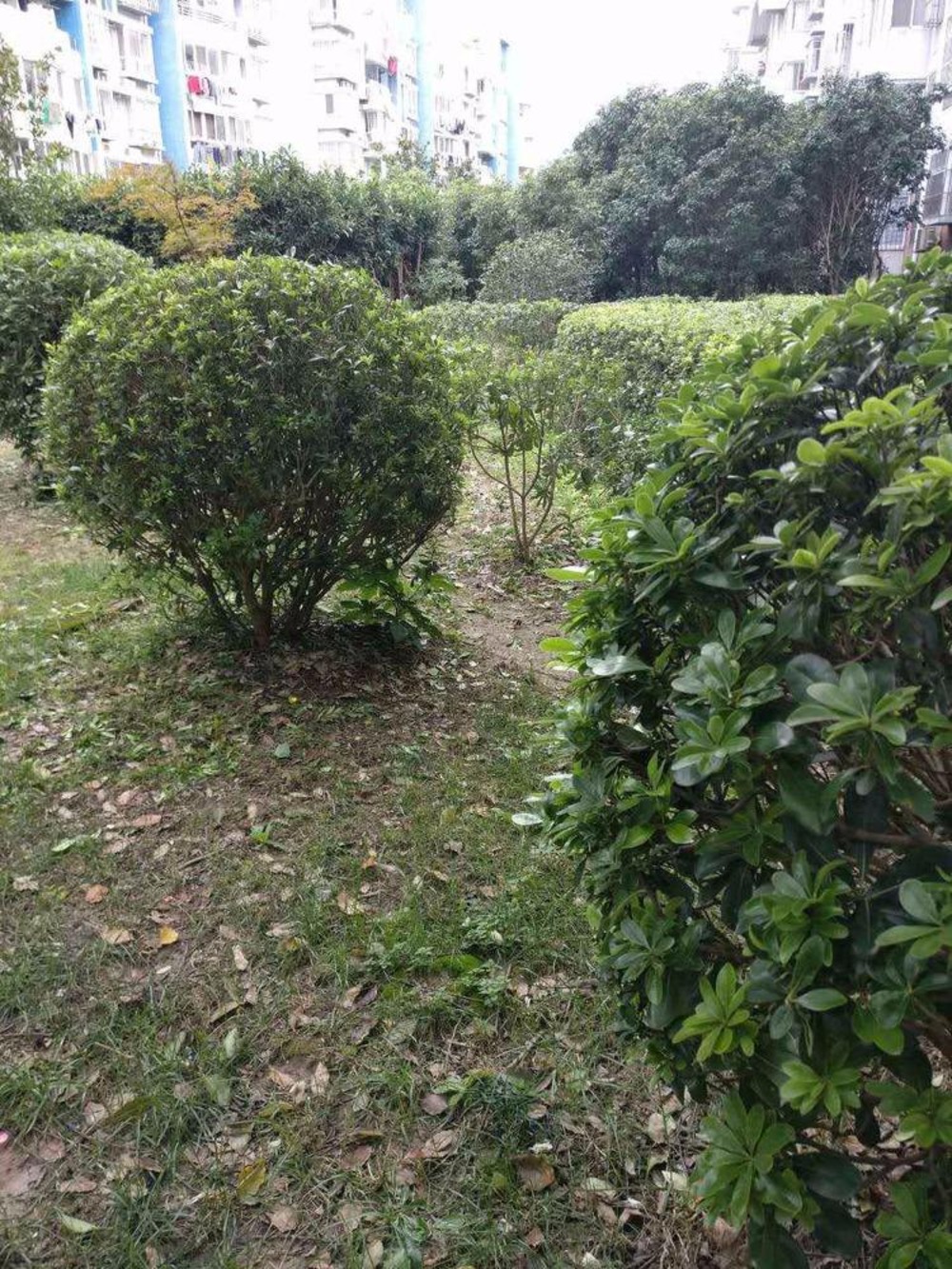 上海兴东佳苑(一期)二手房房源图片