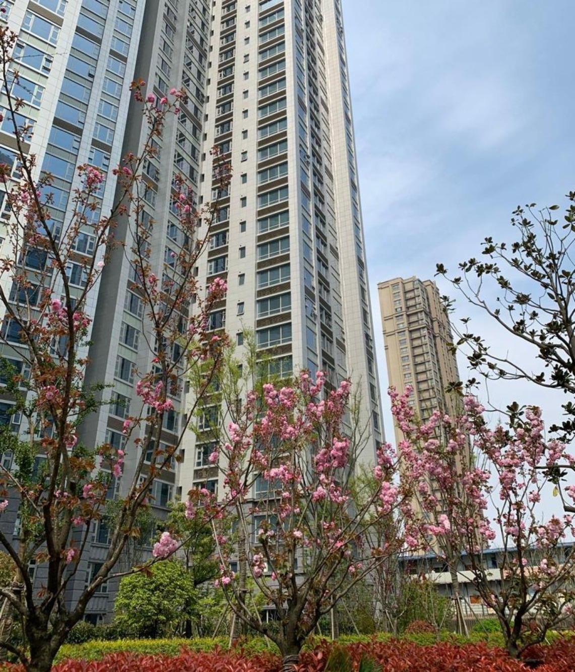 上海高尚领域(公寓住宅)二手房房源图片