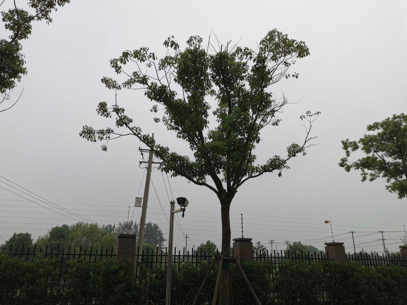 上海松南城玉阳苑二手房房源图片