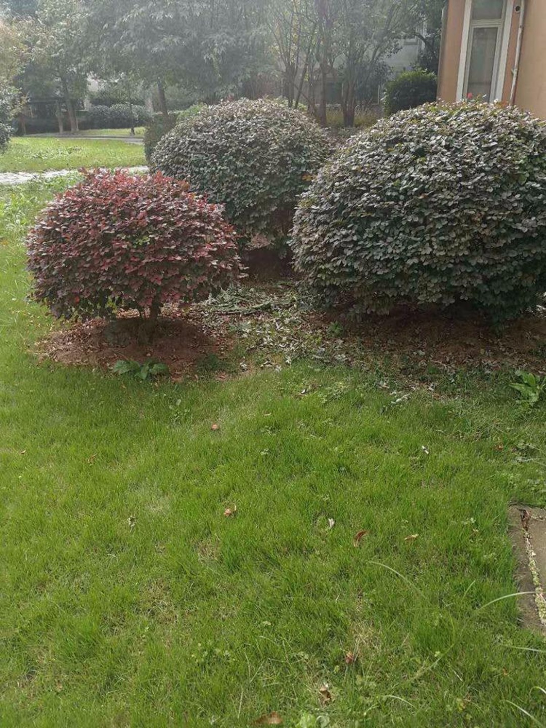 上海上海捷克住宅小区(公寓住宅)二手房房源图片