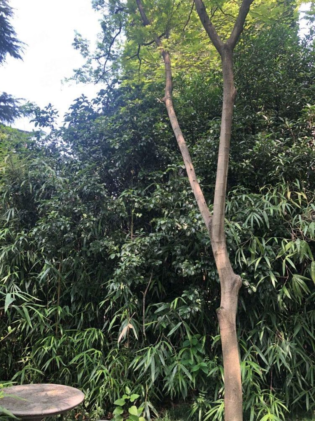 上海福禄村二手房房源图片