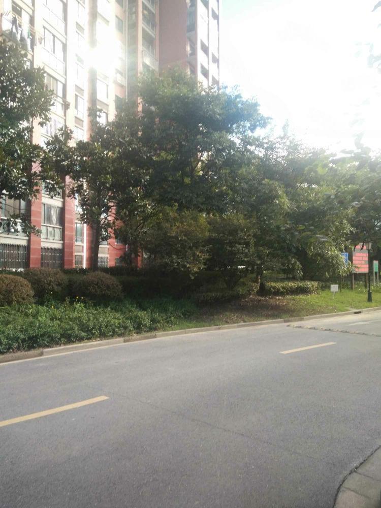 上海安亭名邸二手房房源图片