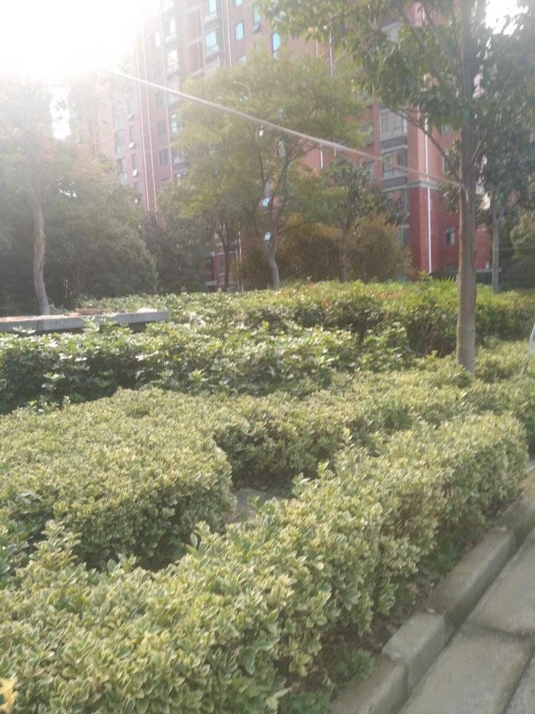 上海安亭名邸二手房房源图片