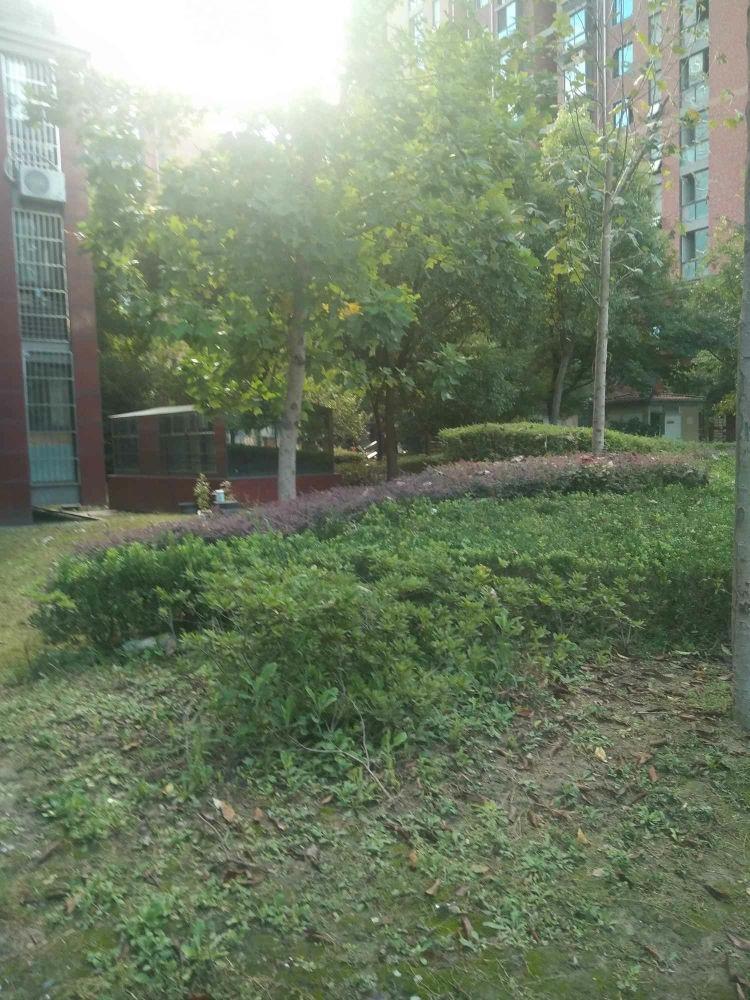 上海安亭名邸二手房房源图片