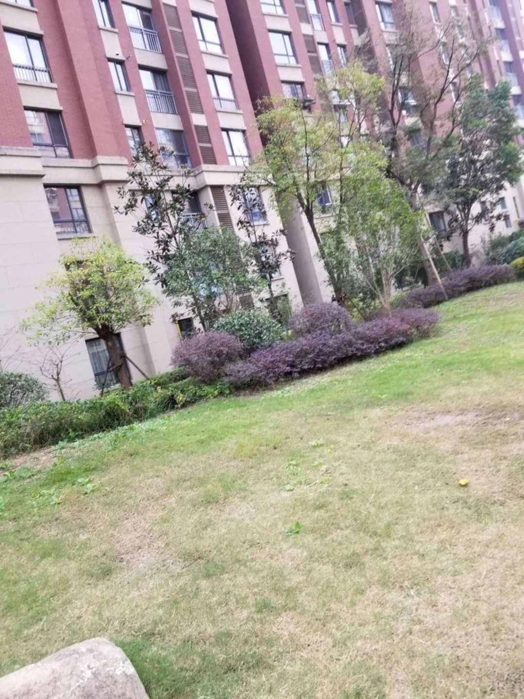 上海天居玲珑湾(公寓住宅)二手房房源图片