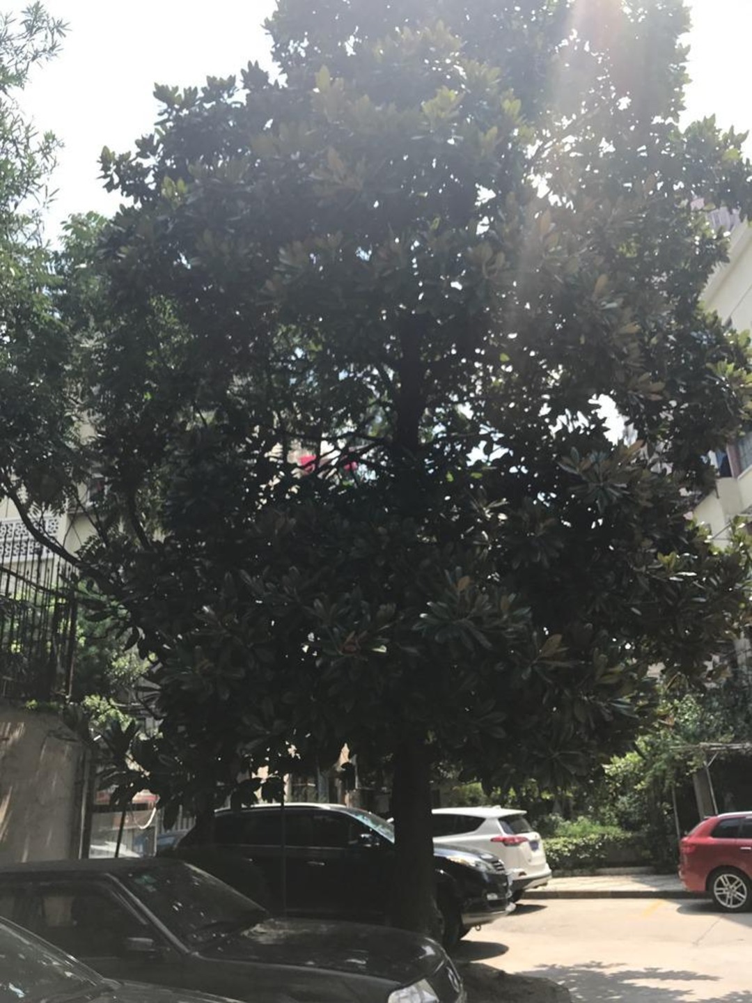 上海欧五小区二手房房源图片