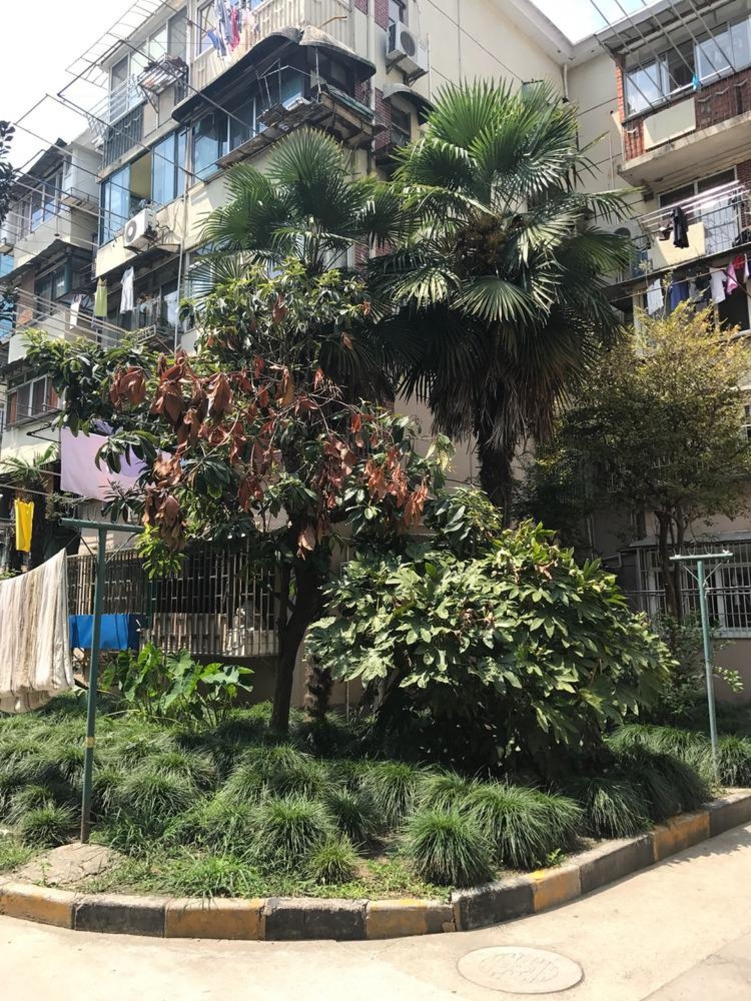 上海欧五小区二手房房源图片