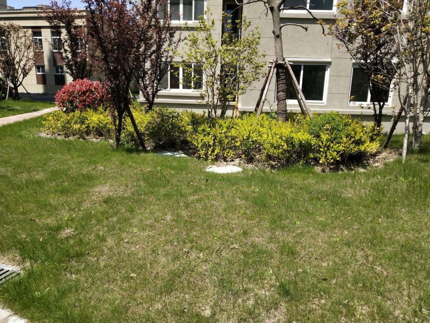 上海松南城善德苑二手房房源图片