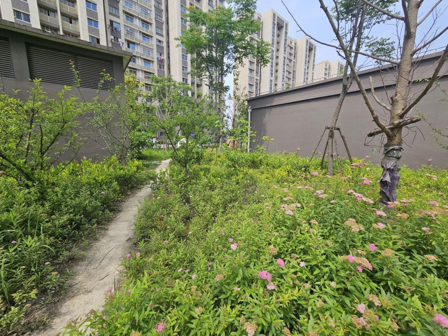 上海松南城金欣雅苑二手房房源图片