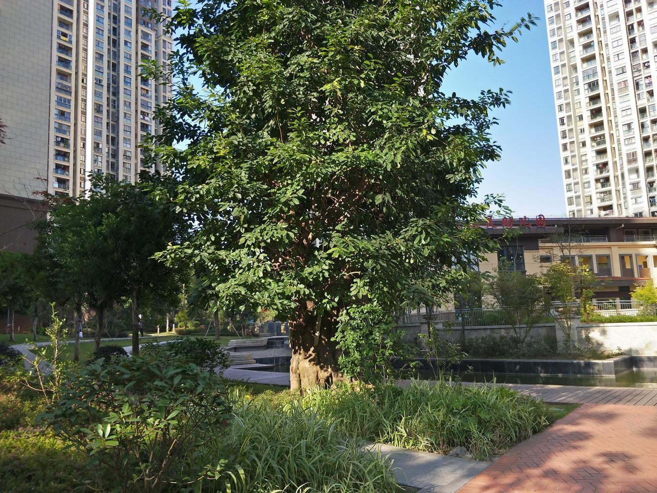 上海龙湖好望山(别墅)二手房房源图片