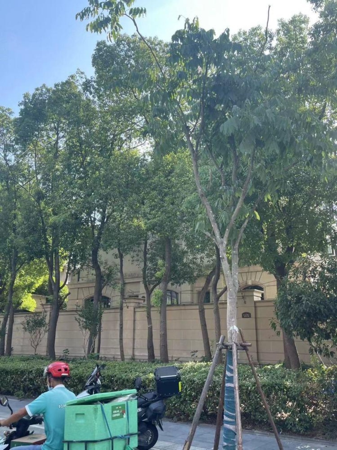 上海九龙仓兰宫二手房房源图片