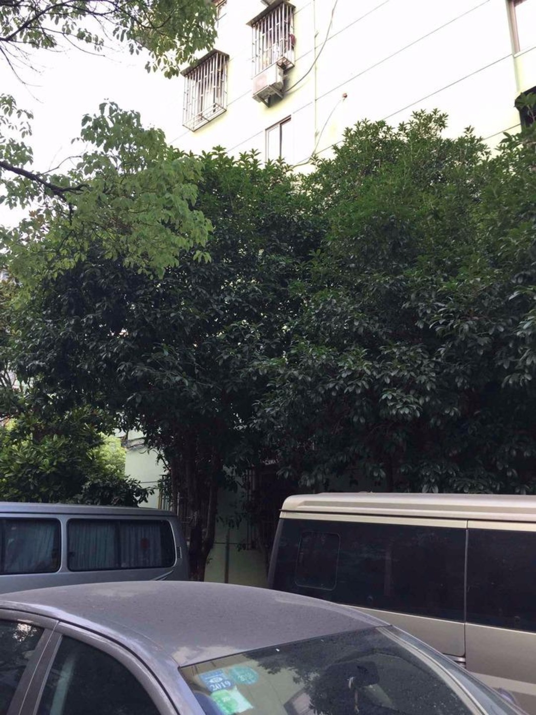 上海逸仙路1321弄3支弄小区二手房房源图片