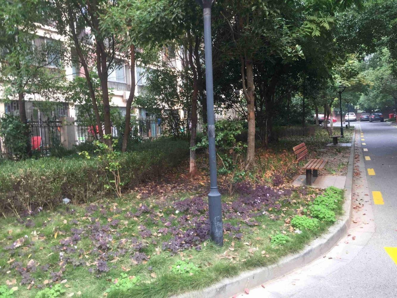 上海盛唐福邸二手房房源图片