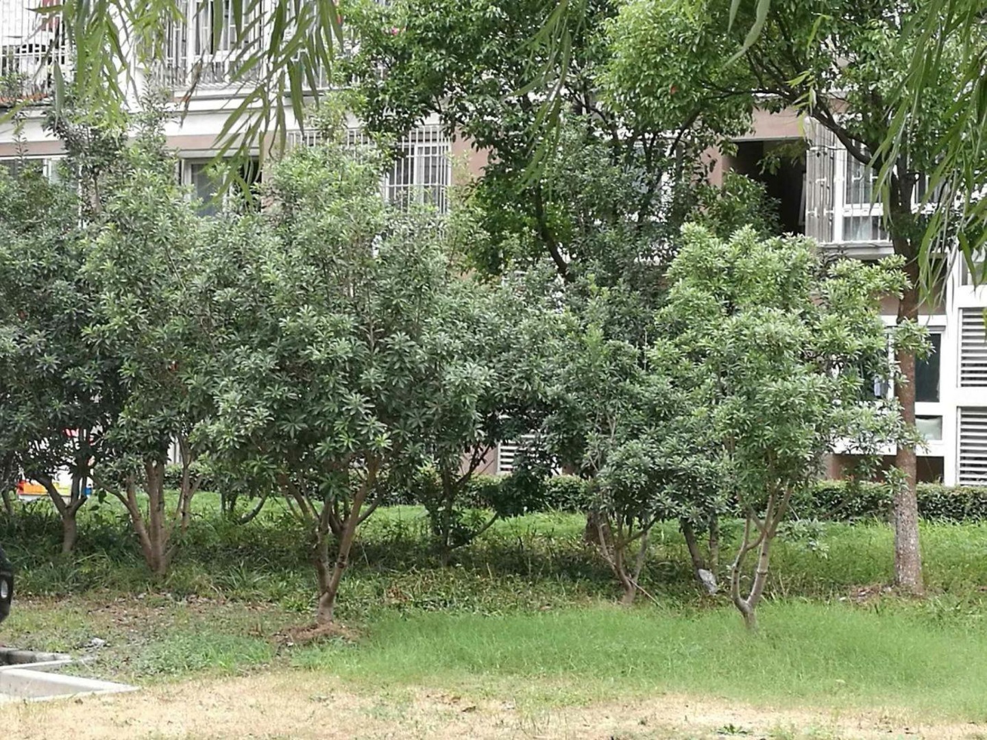 上海爱博七村二手房房源图片