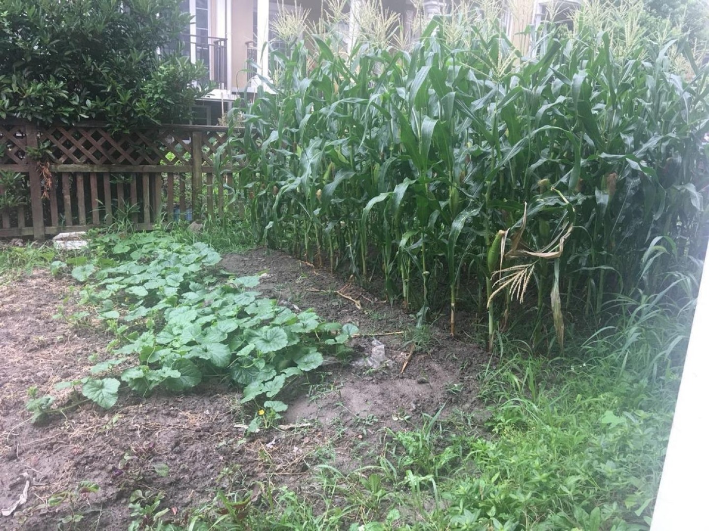 上海合生朗廷园二手房房源图片