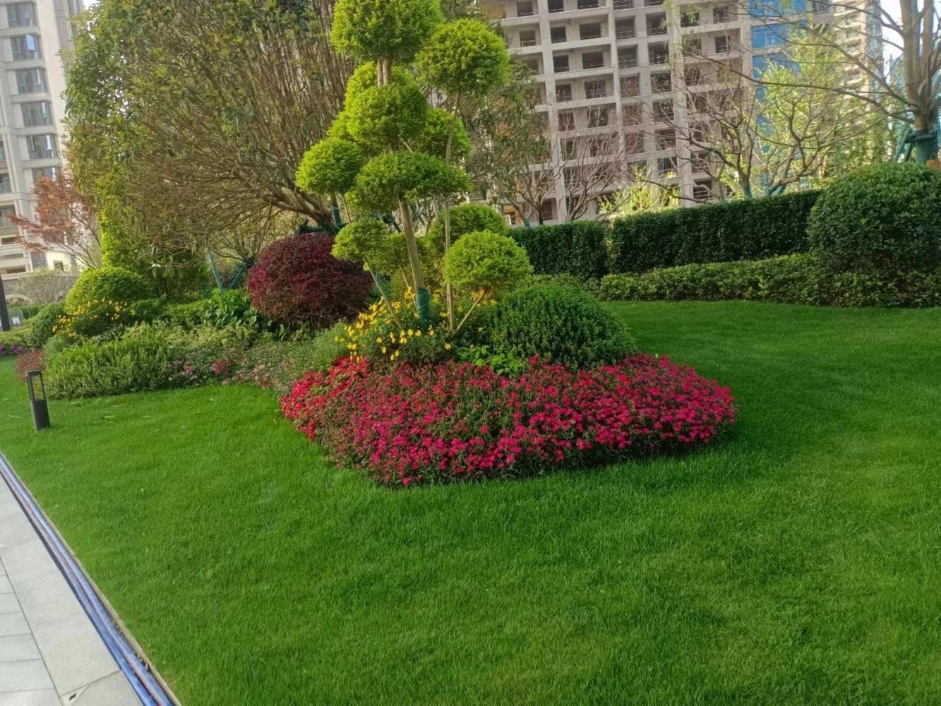 上海金海华城佳洁景苑二手房房源图片