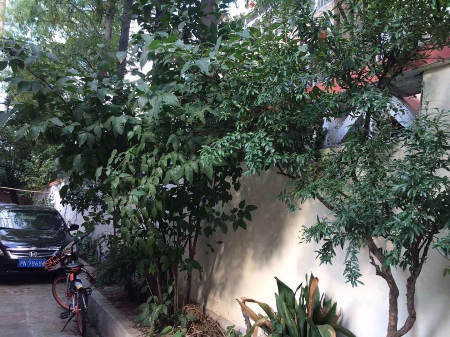 上海凯旋路106-138号小区二手房房源图片