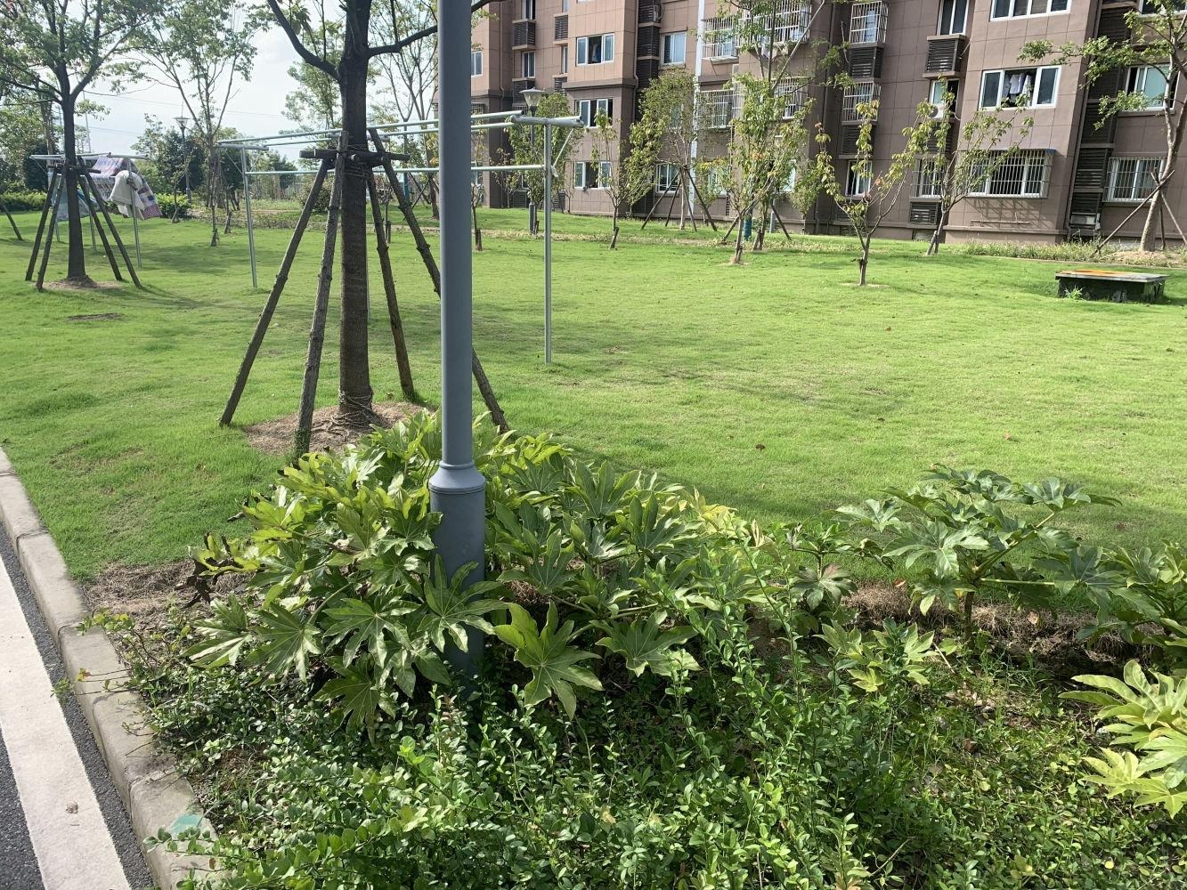 上海罗宁欣苑二手房房源图片