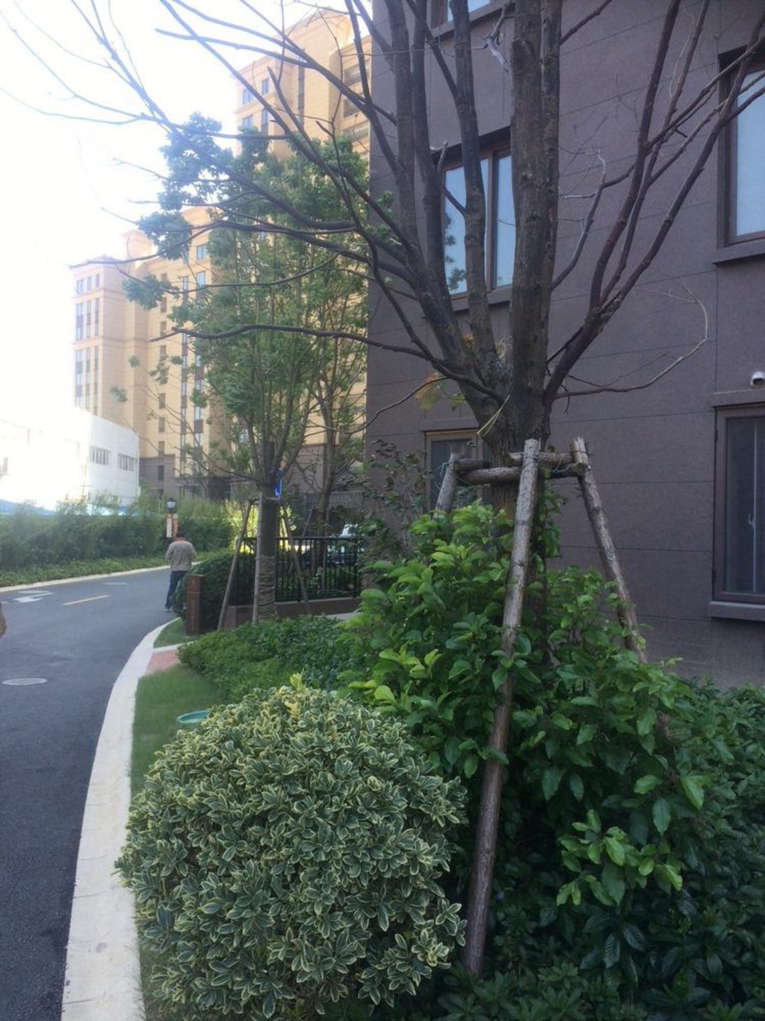 上海禹洲老城里二手房房源图片