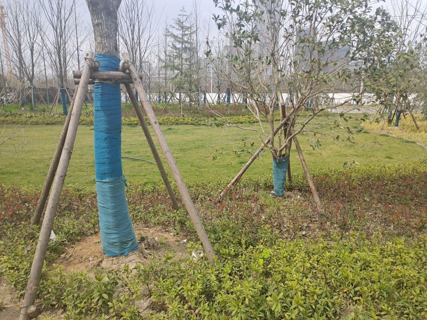 上海涵清苑二手房房源图片