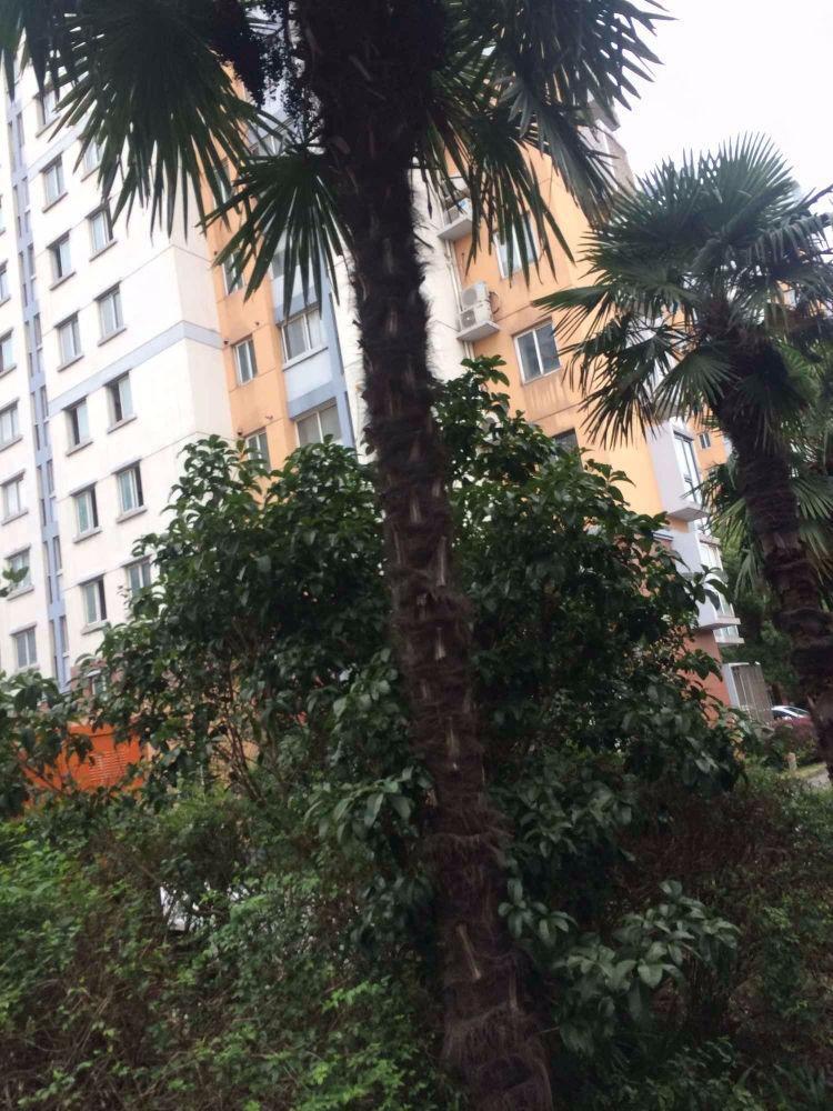 上海阳光城市家园二手房房源图片