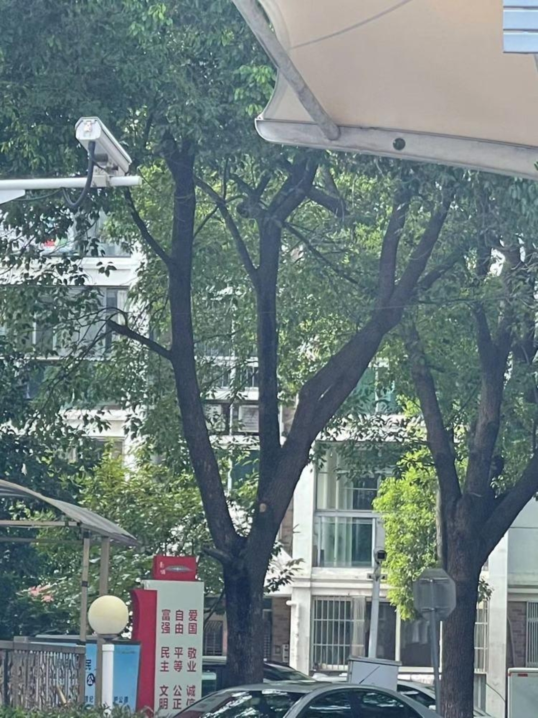 上海现代华庭(一期别墅)二手房房源图片