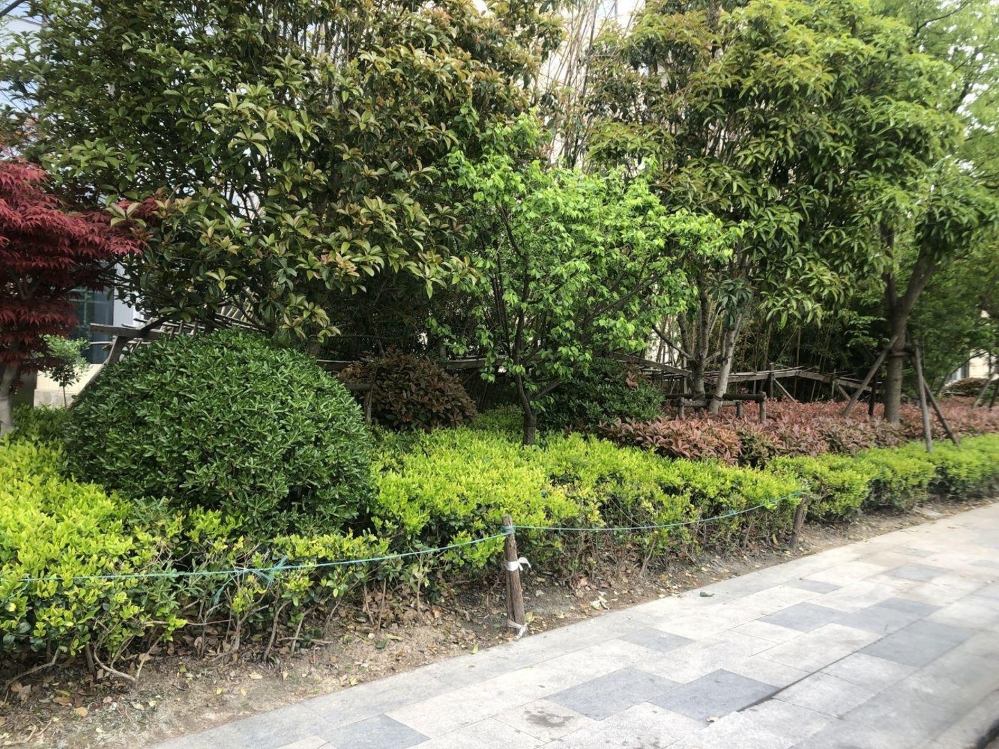 上海九亭U天地二手房房源图片