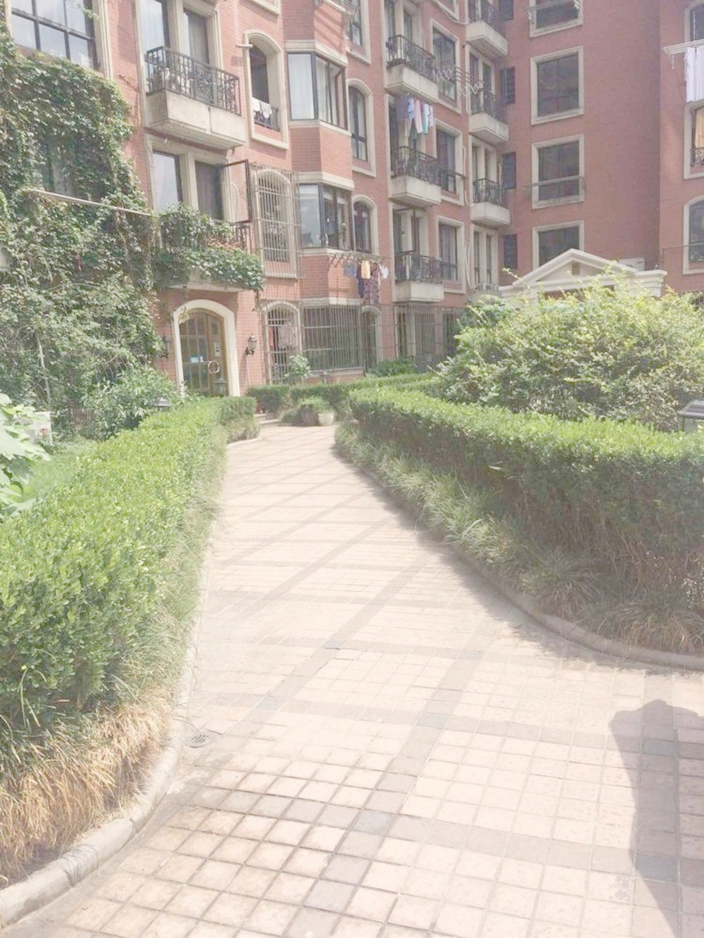 上海梧桐花园B座二手房房源图片