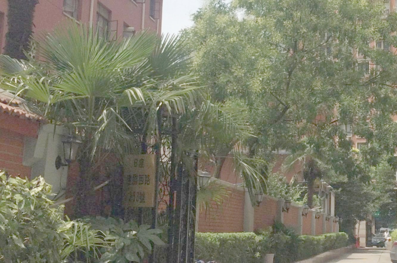 上海梧桐花园B座二手房房源图片