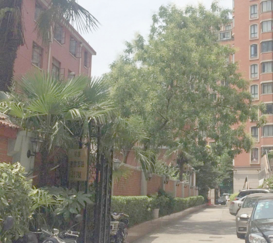 上海梧桐花园B座二手房房源图片