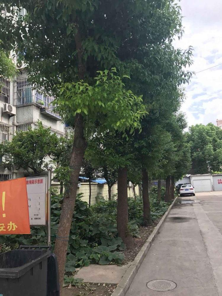 上海亭中小区二手房房源图片