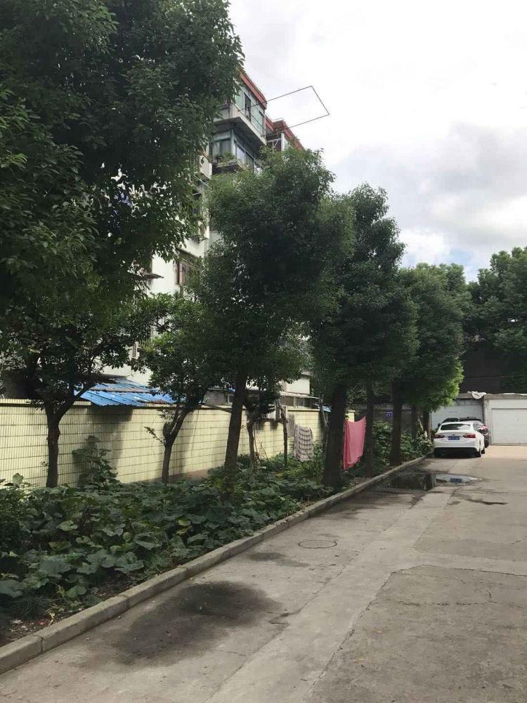 上海亭中小区二手房房源图片