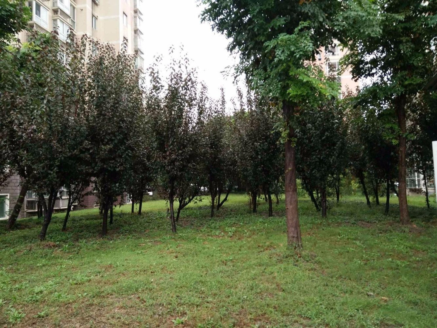 上海爱博二村二手房房源图片