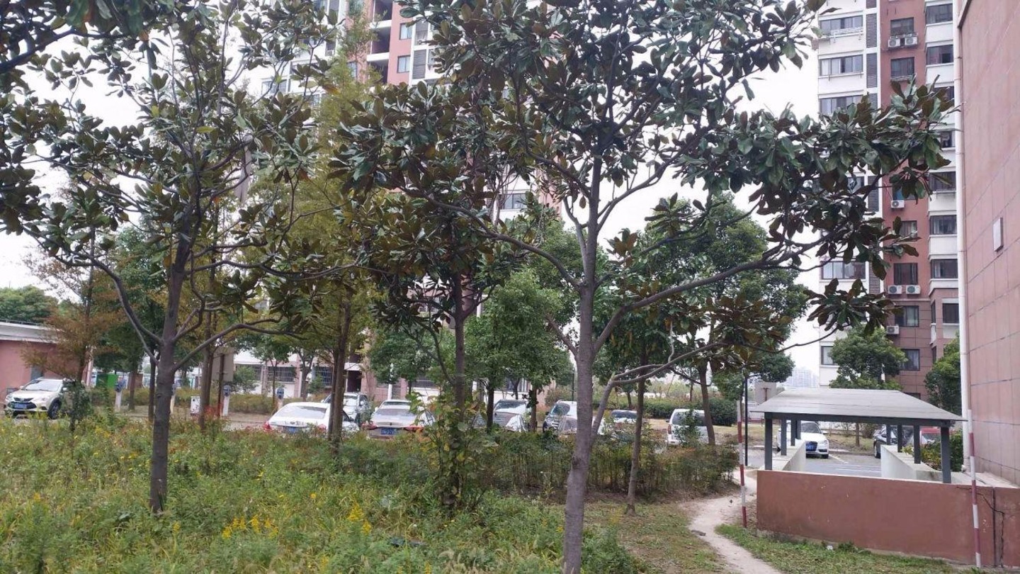 上海桃园新城汇枫公寓二手房房源图片