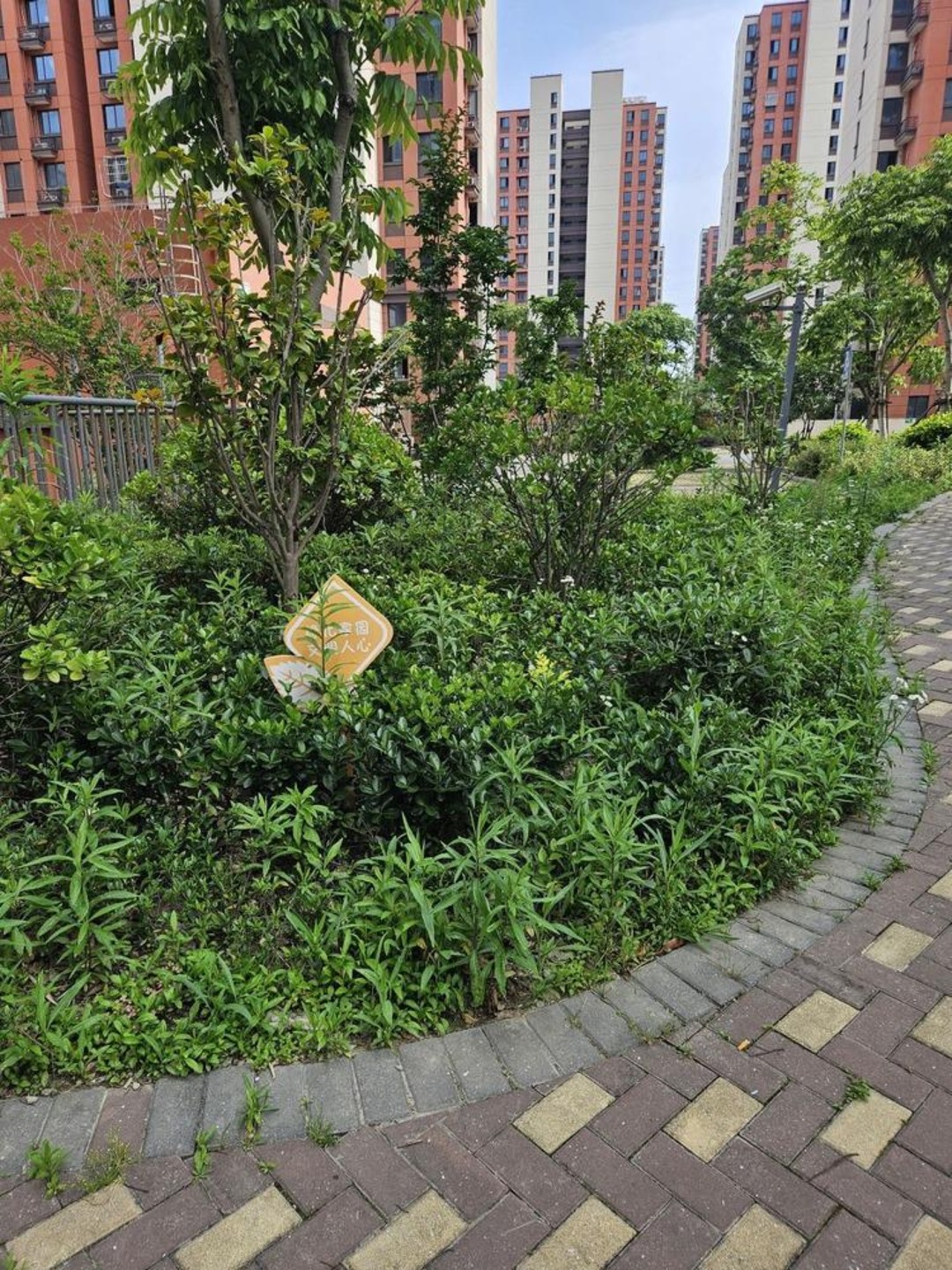 上海松南城芙蓉苑二手房房源图片