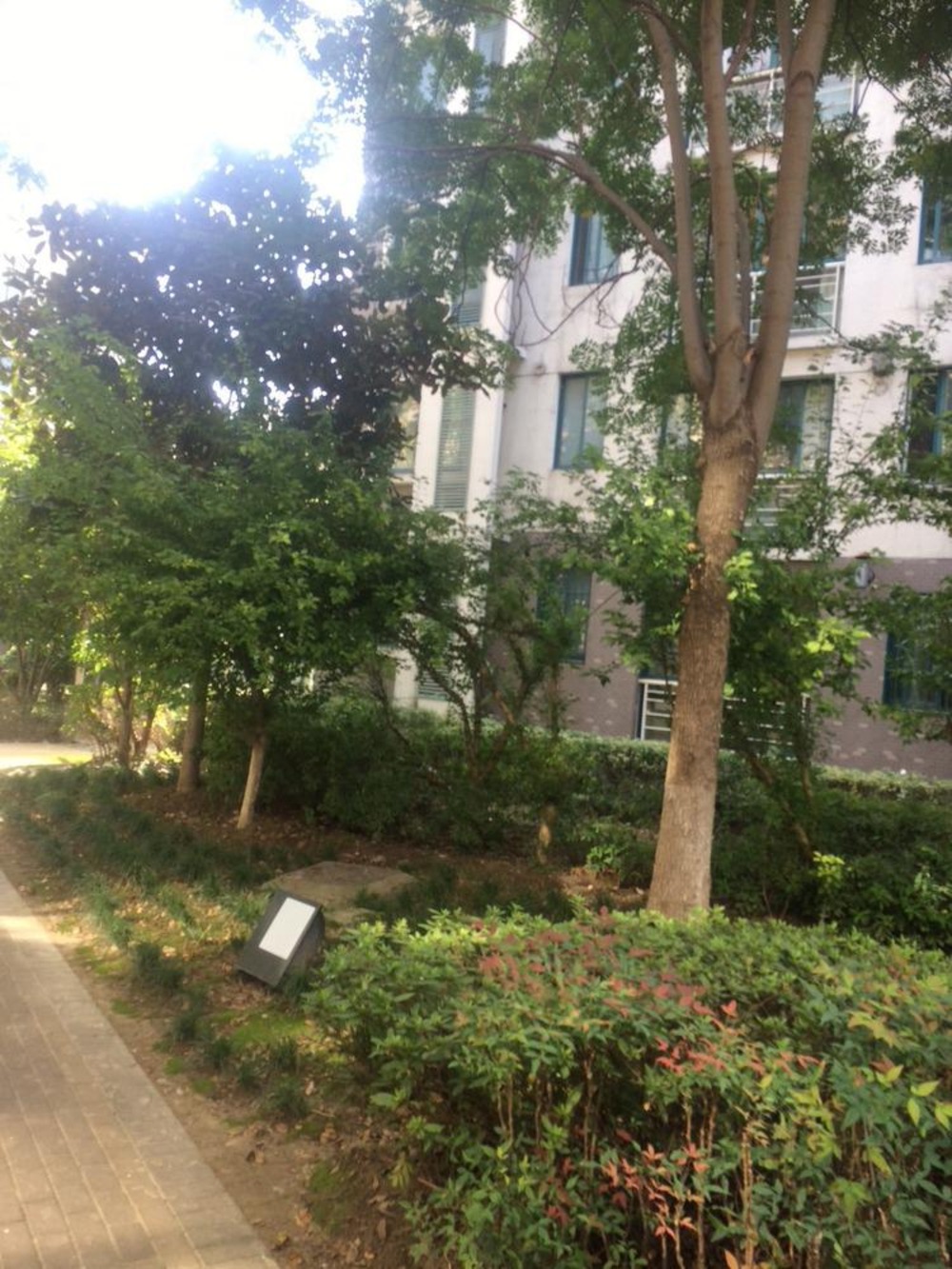 上海新城枫景二手房房源图片