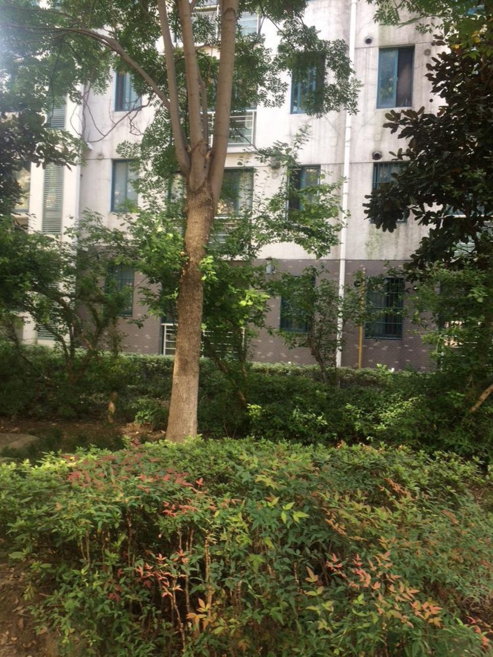 上海新城枫景二手房房源图片