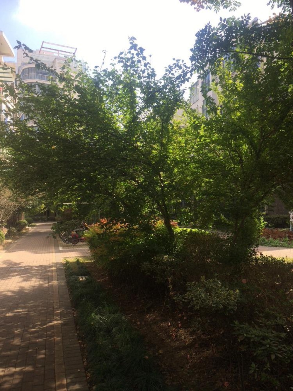 上海新城枫景二手房房源图片