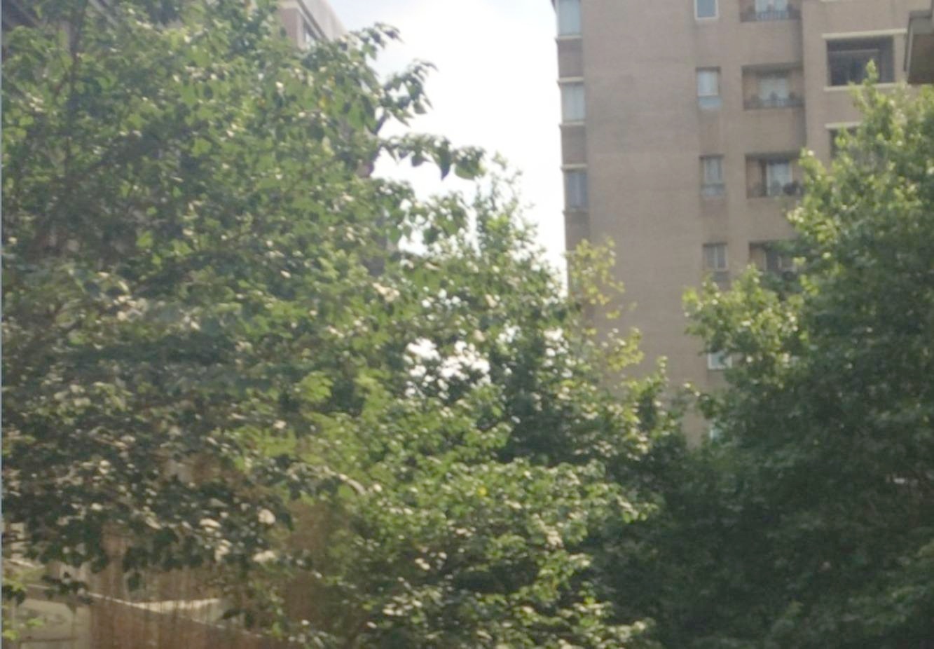 上海巴洛克宫廷二手房房源图片