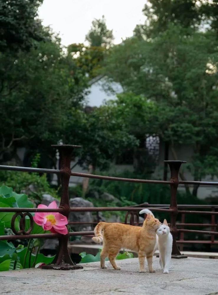 上海中福城(二期)二手房房源图片